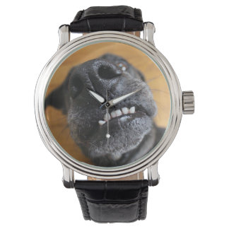 Lefty's Grill Watch