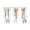 Leg Nerve Innervation of Lower Extremities Poster