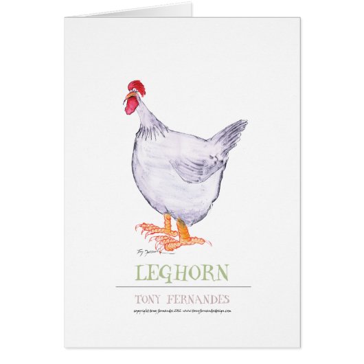 LEGHORN HEN, tony fernandes (Front)