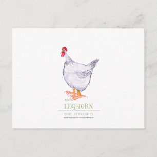 LEGHORN HEN, tony fernandes Postcard