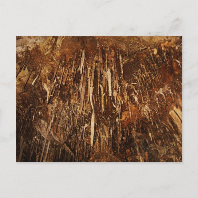 Lehman Cave Postcard (Front)