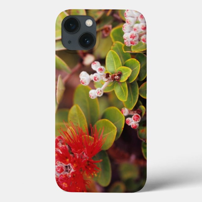 Lehua Blossoms In Hawaii Volcanoes Case-Mate iPhone Case (Back)