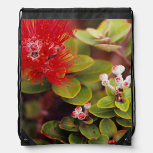 Lehua Blossoms In Hawaii Volcanoes Drawstring Bag