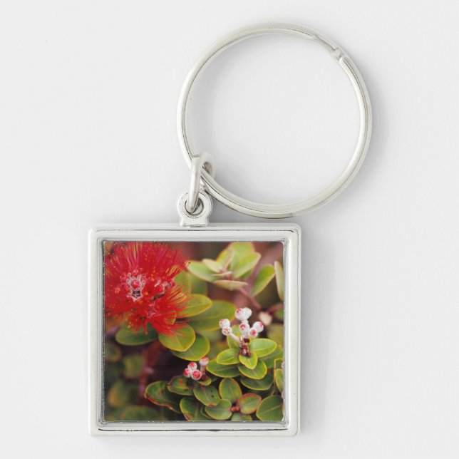Lehua Blossoms In Hawaii Volcanoes Keychain (Front)