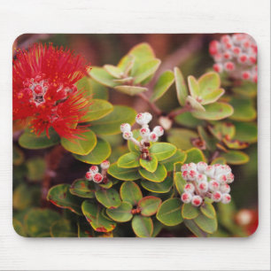 Lehua Blossoms In Hawaii Volcanoes Mouse Pad