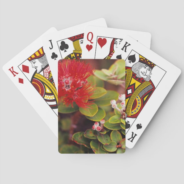 Lehua Blossoms In Hawaii Volcanoes Poker Cards (Back)