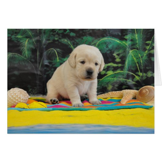 Leigh Ann week 2 (Front Horizontal)