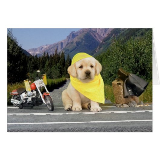 Leigh Ann week 5 (Front Horizontal)