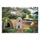 Leigh Ann week 6 (Front Horizontal)