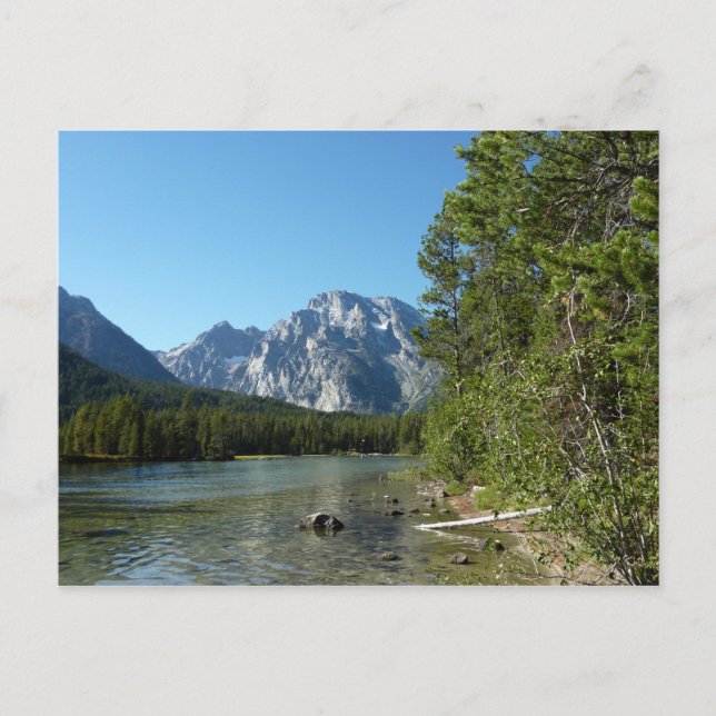 Leigh Lake at Grand Teton National Park Postcard (Front)