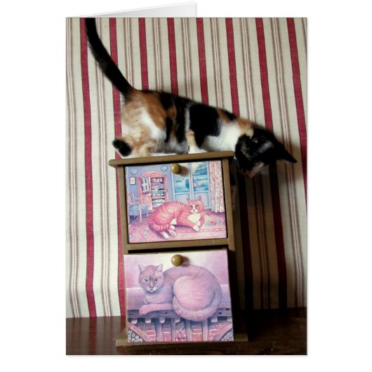 Leilani's Wardrobe Series - Card 1 (Front)