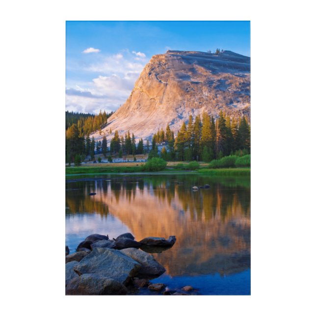 Lembert Dome scenic, California Acrylic Print (Front)