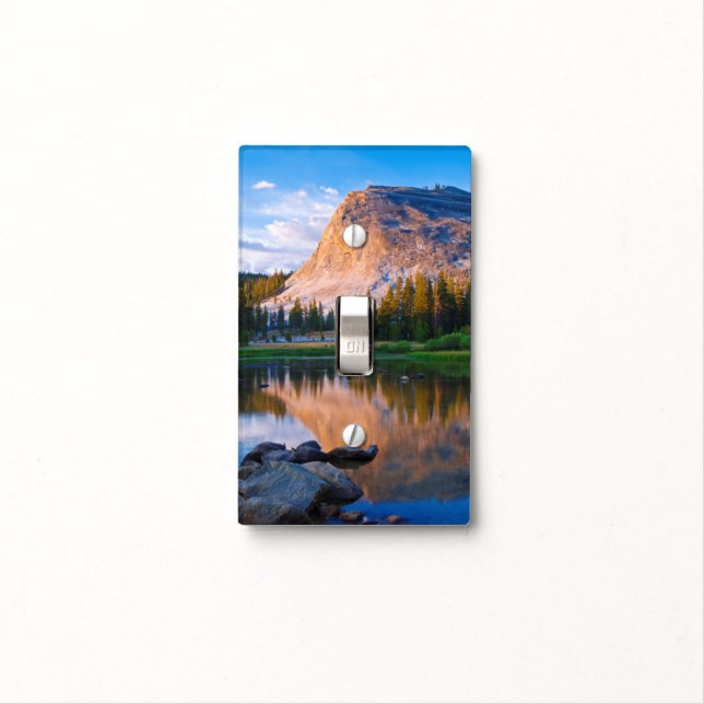 Lembert Dome scenic, California Light Switch Cover (In Situ)