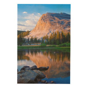 Lembert Dome scenic, California Wood Wall Decor