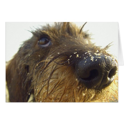 Lemme think about that..... (Front Horizontal)