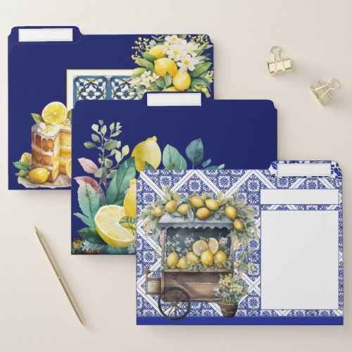 Lemon and Blu white pattern Mediterranean inspired File Folder