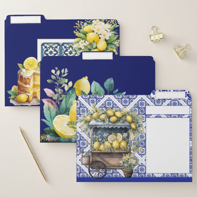 Lemon and Blu white pattern Mediterranean inspired File Folder (Set)