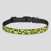 Lemon Background Pet Collar