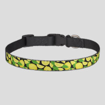Lemon Background Pet Collar