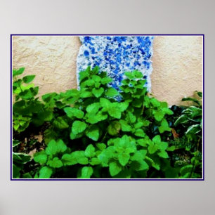 Lemon Balm Herb Garden Poster