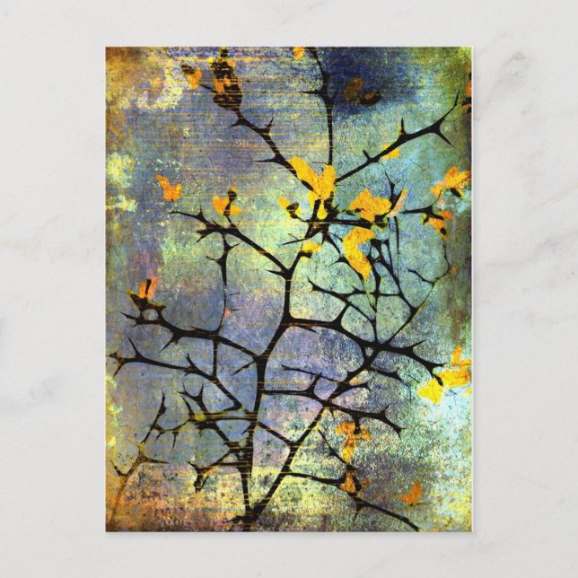 Lemon Blossoms Postcard (Front)