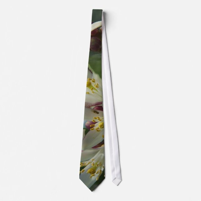 Lemon Blossoms Tie (Front)