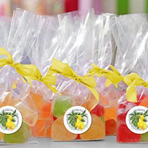 Lemon & Blue Toile Filigree Elegant Classic Round Sticker