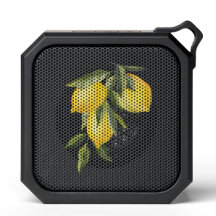 Lemon Bluetooth Speaker