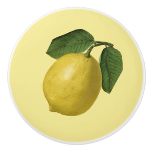 Lemon ~ Botanical Fruit ~ Any Background Color ~ Ceramic Knob