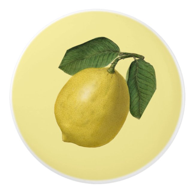 Lemon ~ Botanical Fruit ~ Any Background Color ~ Ceramic Knob (Front)