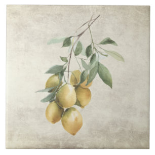 Lemon Branch Mediterrean Watercolors Rustic Ceramic Tile
