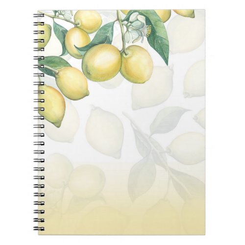 Lemon Branches White  Yellow Country Rustic Chic Notebook