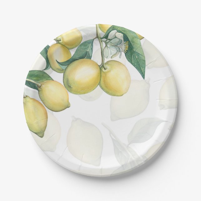 Lemon Branches White & Yellow Country Rustic Party Paper Plates (Front)