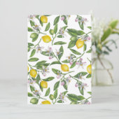 Lemon branches with blossoms and fruit on white (Standing Front)