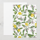 Lemon branches with blossoms and fruit on white (Front/Back)