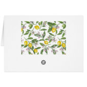 Lemon branches with blossoms and fruit on white (Back Horizontal)