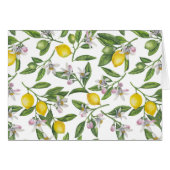 Lemon branches with blossoms and fruit on white (Front Horizontal)