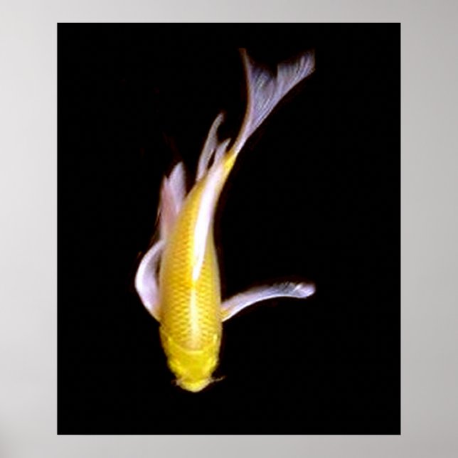 Lemon Butterfly Koi Poster (Front)