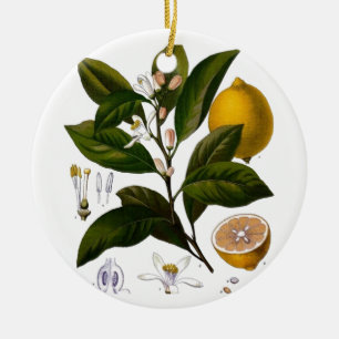 Lemon Ceramic Ornament