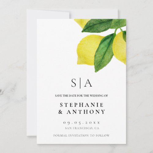  Lemon Citrus Branch Greenery Wedding      Save The Date