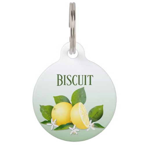 Lemon Citrus Fruit Botanical Personalized Pet ID Tag