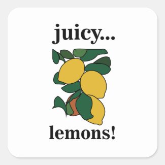 Lemon Citrus Fruit 