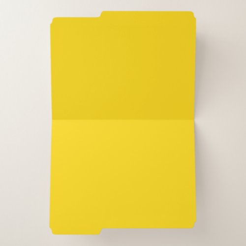 Lemon File Folder