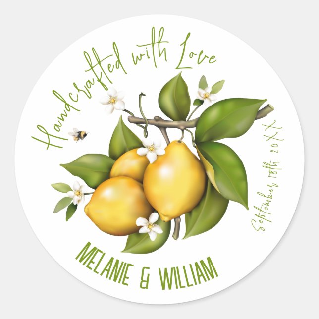 Lemon Fruit Botanical Classic Round Sticker (Front)