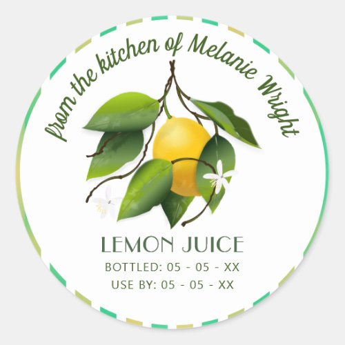 Lemon Fruit Canning Classic Round Sticker