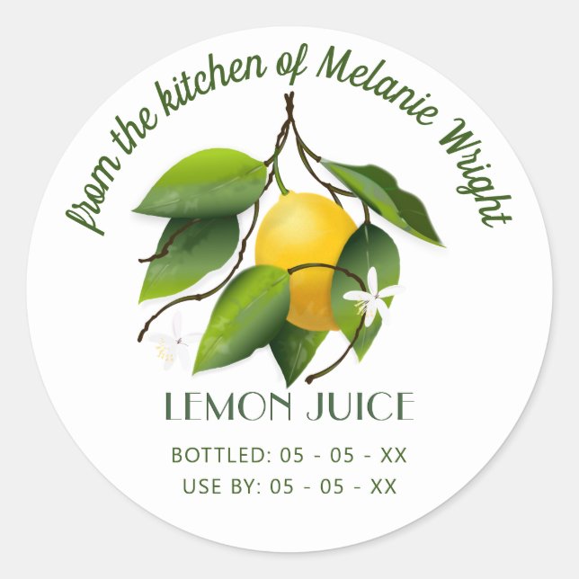 Lemon Fruit Canning Classic Round Sticker (Front)