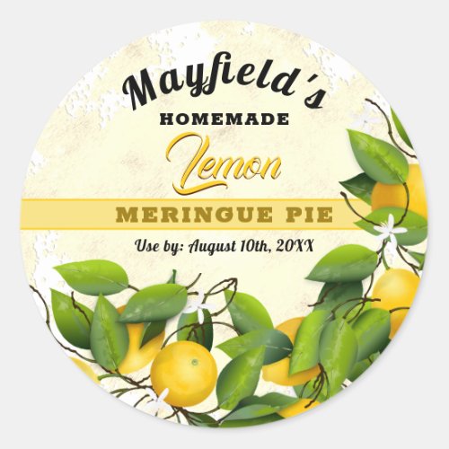Lemon Fruit Canning  Jam Jar Classic Round Sticker