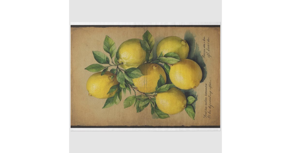 Lemon Fruit Illustration Ephemera No1 Tissue Paper | Zazzle
