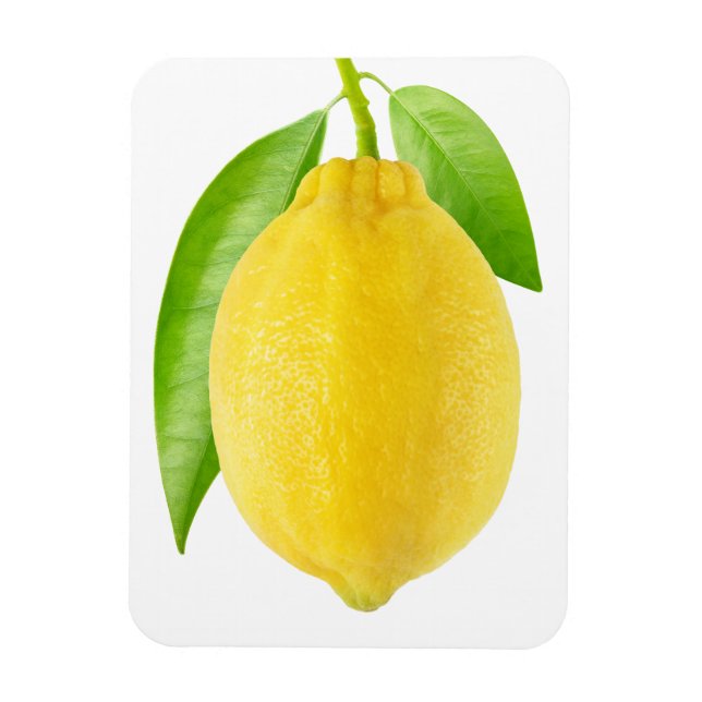 Lemon fruit magnet (Vertical)