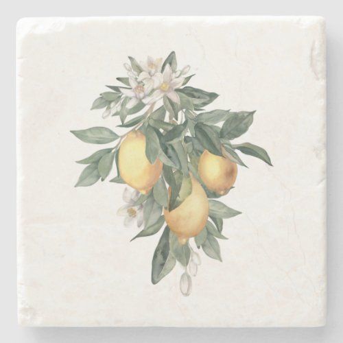 Lemon Fruit Marble Stone Coaster